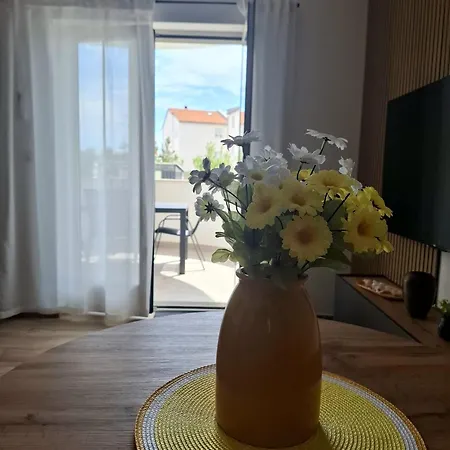 Apartment Marina Pula